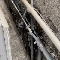 画像273